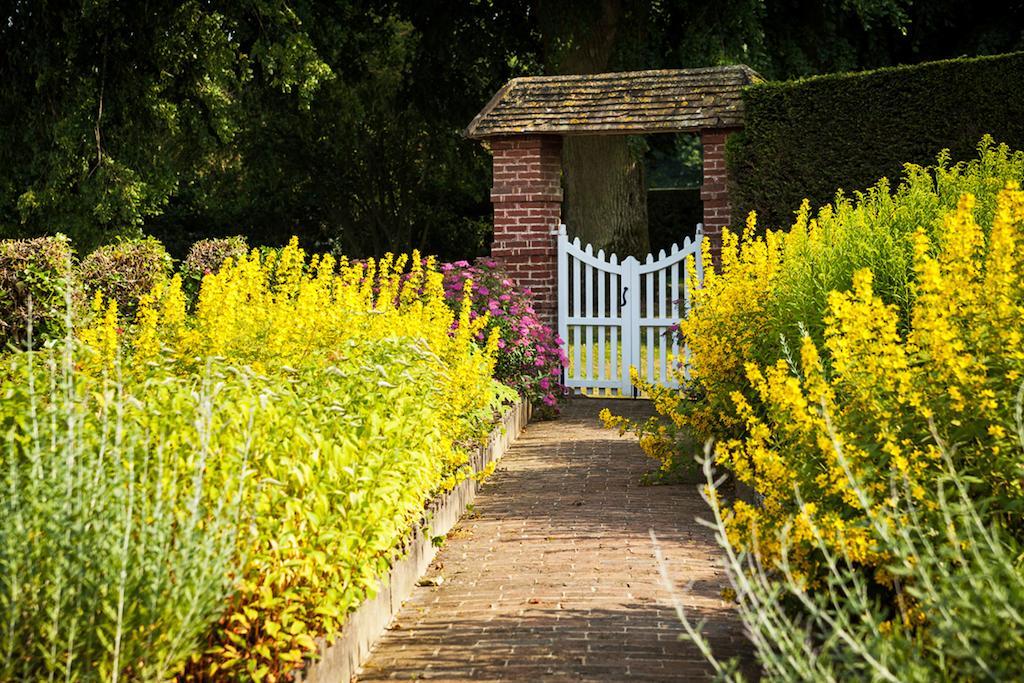 Chateau De Bouelles Bed & Breakfast Neufchatel-en-Bray Ngoại thất bức ảnh